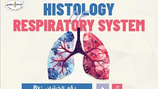 Respiratory system  Histology  lecture 6  By  رؤى الخشان [upl. by Lemhaj]