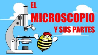 🔬El MICROSCOPIO 🔬 SUS PARTES Y FUNCIONES 🔬 [upl. by Rett]