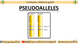 PSEUDOALLELES  CONCEPT OF GENE  GENETICS [upl. by Harday201]