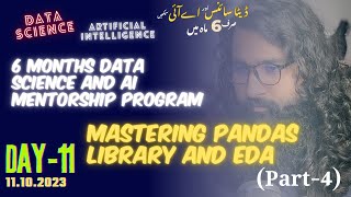 Day11 Mastering Pandas Library and EDA Part4 [upl. by Florie881]