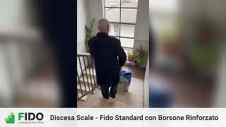 Scendere le scale con i pesi senza fatica Discesa scale con Fido Standard con Borsone Rinforzato [upl. by Adest695]