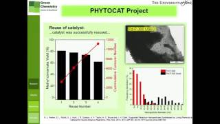 Case study phytoremediation [upl. by Lahsram]