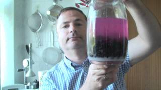 How to make blackcurrant vodka [upl. by Arannahs]