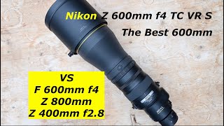 Nikon Z 600mm F4 TC First Look FT Morten Hilmer amp Sample images [upl. by Arley]