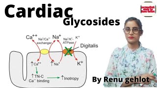 Cardiac Glycosides  cardiac Glycosides in hindi  congestion heart failure [upl. by Irallih]