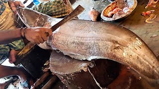 17 kg Giant Wallago Attu Boal Fish Cutting With Huge Eggs  Fish Cutting Skills [upl. by Anilec]