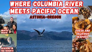 ASTORIA CITY OREGON  A HISTORICAL CITY BY THE COLUMBIA RIVER [upl. by Pogue]