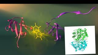 Protein test biuret test biuret principle [upl. by Ferrel]