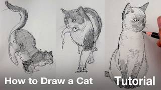 How to draw an easy cat for kids [upl. by Attevroc14]