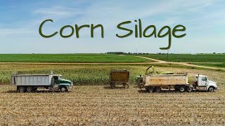 Chopping Silage 2022  KANSAS  JD 5830 Forage Harvester [upl. by Nahtanohj]