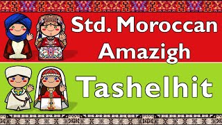 STANDARD MOROCCAN AMAZIGH amp SHILHATASHELHIT [upl. by Ogaitnas]