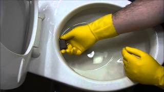 How To Remove Hard Water Stains From Toilet Bowl [upl. by Anaicul]