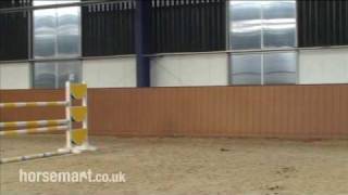 How to jump a double of verticals in show jumping [upl. by Pergrim]