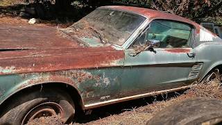 1967 Mustang 390 GT Fastback Barn Find Parked Since 1973 Price Revealed [upl. by Yenaled]