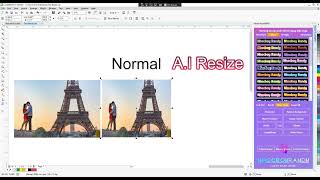 AI RESIZE for Corel Draw X72022 [upl. by Nylehtak]