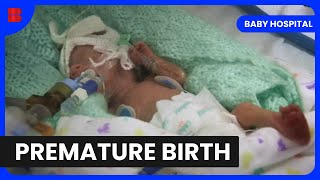 Incredible Preemie Journey  Baby Hospital  Medical Documentary [upl. by Stewardson430]