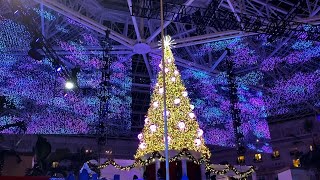 Christmas At Gaylord Palms Resort  Orlando [upl. by Walczak]