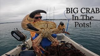 BIG CRAB  Lobsters Brown Crab Spider Crab Conger Eels and Much More  UK Crab Fishing Video [upl. by Cavan221]