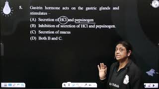 Gastrin hormone acts on the gastric glands and stimulates [upl. by Musihc]