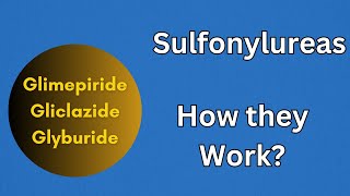 Sulfonylrueas  Pharmacology Mechanism of Action for Glimepiride Gliclazide [upl. by Norris]