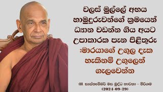 වලස් මුල්ලේ අභය හාමුදුරුවන්ගේ ක්‍රමයෙන් ධ්‍යාන වඩන්න ගිය අයට උපාකාරක පැන පිළිතුරු මාරයාගේ උගුල [upl. by Millburn]