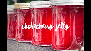 Chokecherry Jelly [upl. by Hyland]