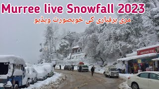 Murree live Snowfall 2023  Murree weather today  Nathia gali snowfall [upl. by Akerdnahs96]