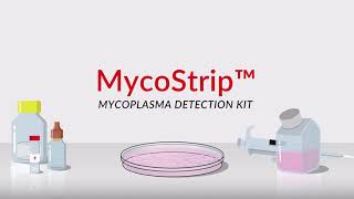 【製品紹介】 InvivoGen社 MycoStrip ～マイコプラズマ検出キット～｜ナカライテスク [upl. by Montgomery]