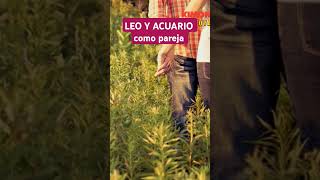 Acuario ♒ y Leo ♌ como pareja compatibilidaddesignos  kimono rojo [upl. by Notneiuq]