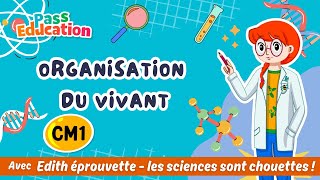 Organisation du vivant – Cm1– Edith Eprouvette Leçon Exercices Évaluation [upl. by Alletsirhc]