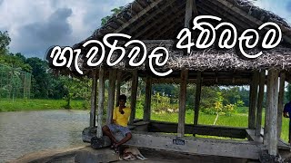 Hawariwala Ambalama🏚🏚  හැවරිවල අම්බලම 🇱🇰🇱🇰 [upl. by Harriett]