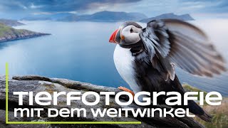 Tierfotografie mit dem Weitwinkel  Das musst du beachten [upl. by Almeria]