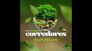 CORREDORES ECOLÓGICOS 🌳 [upl. by Soluk]