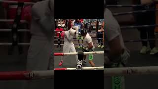 Shakur Stevenson  Sparring  Combo boxing [upl. by Booker]