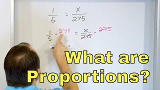 What are Proportions in Math  7420 [upl. by Tireb635]