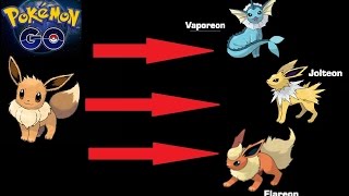 EEVEE POKEMON GO EVOLUTION  GUIDE [upl. by Nivanod908]