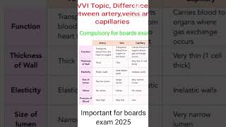 Artery vs Vein vs Capillary  Whats the Difference Explained Simplyshorts ytshorts [upl. by Odine]