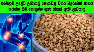 උළුහාල් වල විශ්මිත ගුණ  Amazing properties of fenugreek For a healthy life [upl. by Yerag]