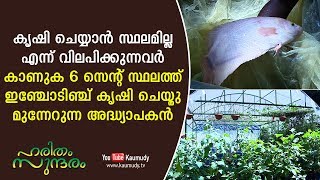 A Teacher who does farming in 6 cents  A must watch for folks who dream about farming [upl. by Mintz535]