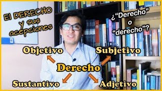 Noções de Direito  Direito Objetivo e Direto Subjetivo [upl. by Hairom]