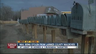 Mail thieves target Poudre Canyon area stealing checks [upl. by Sidonia]