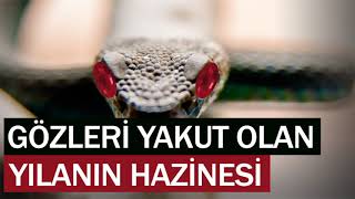 GÖZLERİ YAKUT OLAN YILANIN HAZİNESİ ibretlik hikayeler sesli kitap dini hikayeler hüseyin duru [upl. by Allimaj]