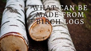 How to make a whiskey barrel from birch log  DIY  Wooden barrel with your own hands [upl. by Gasper322]