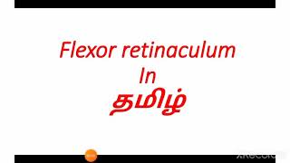 Flexor retinaculum in தமிழ்Anatomy in TamilCarpal Tunnel in தமிழ் [upl. by Anillek]