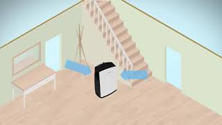 Dehumidifiers How do they work [upl. by Lambrecht]