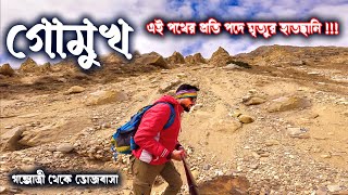 GOMUKH TREK ।। PART  2 ।। গঙ্গোত্রী থেকে ট্রেক করে ভোজবাসা ।। গোমুখ দর্শন।। GOMUKH YATRA [upl. by Emmerich]