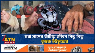 মরা সাপের কাঁটায় জীবন নিভু নিভু কৃষক ইউছুফের  Yusuf  Snake Bite  ATN News [upl. by Ehman]