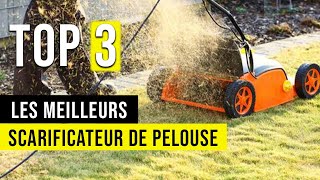 🥇 Le Meilleur Scarificateur de Pelouse  Comparatif  TOP 3 [upl. by Rento]