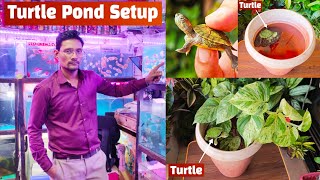 Buying Turtle from Pari Aquarium shop amp Setup Turtle Pond  Turtle Pond Setup  Pari Aquarium [upl. by Pleasant]