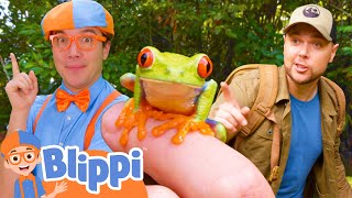 Blippis Adventure with Brave Wilderness  BEST OF BLIPPI TOYS  Educational Videos for Kids [upl. by Birecree31]